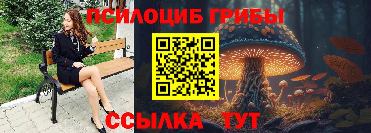 Псилоцибиновые грибы Cubensis  Вход с VPN  где можно купить наркотик  Биробиджан 